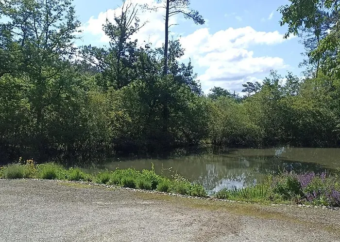 - Saint-jean D'ataux Saint-Jean-d'Ataux